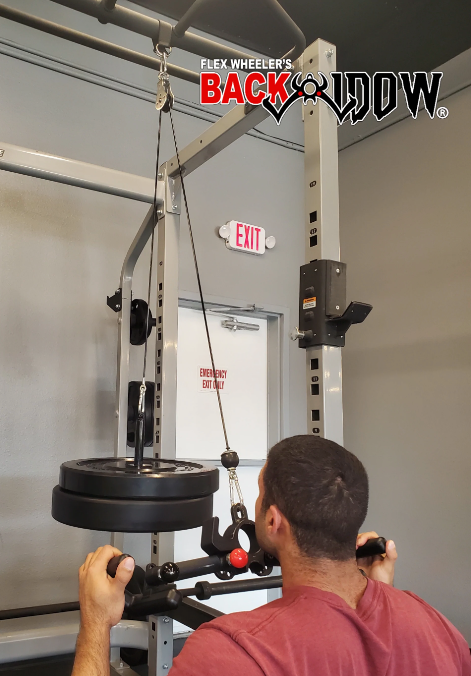Flex Wheeler's BACK WIDOW® CABLE PULLEY SYSTEM